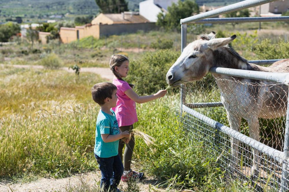 Finca Liarte Vendégház Fuente Alamo  Kültér fotó